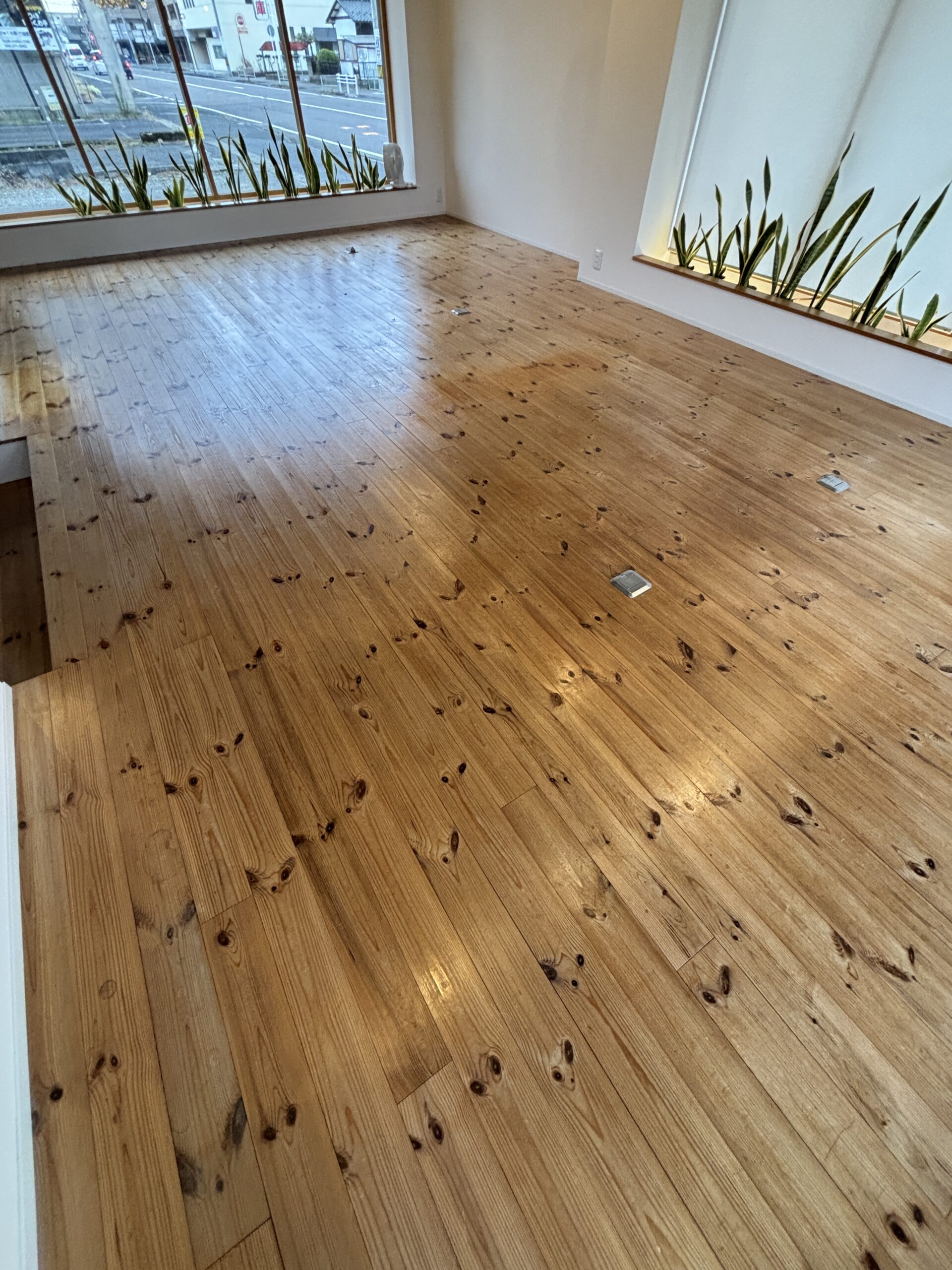 研磨前の無垢床